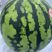 ヒメ日記 2025/10/08 09:30 投稿 なみ カワサキ EROTIC