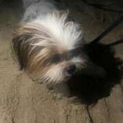 ヒメ日記 2025/10/10 10:54 投稿 なみ カワサキ EROTIC