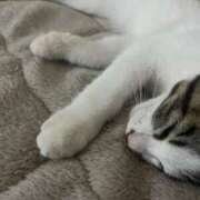 ヒメ日記 2025/10/14 19:41 投稿 なみ カワサキ EROTIC