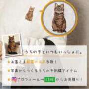 ヒメ日記 2025/10/25 17:02 投稿 なみ カワサキ EROTIC