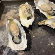 ヒメ日記 2025/10/31 16:15 投稿 なみ カワサキ EROTIC