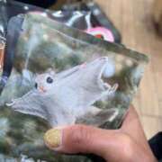 ヒメ日記 2025/11/13 17:01 投稿 なみ カワサキ EROTIC