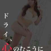 ヒメ日記 2025/11/13 22:45 投稿 なみ カワサキ EROTIC