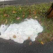 ヒメ日記 2025/11/14 09:58 投稿 なみ カワサキ EROTIC