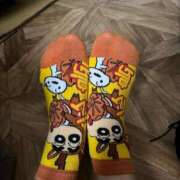 ヒメ日記 2025/11/15 01:03 投稿 なみ カワサキ EROTIC