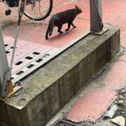 ヒメ日記 2025/11/16 16:46 投稿 なみ カワサキ EROTIC