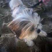 ヒメ日記 2025/12/02 07:56 投稿 なみ カワサキ EROTIC