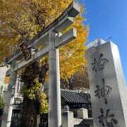 ヒメ日記 2025/12/10 15:02 投稿 なみ カワサキ EROTIC