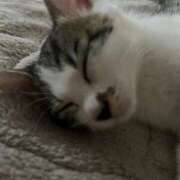 ヒメ日記 2025/12/14 16:59 投稿 なみ カワサキ EROTIC