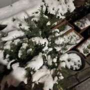 ヒメ日記 2026/02/08 20:30 投稿 なみ カワサキ EROTIC