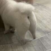 ヒメ日記 2026/02/20 23:45 投稿 なみ カワサキ EROTIC