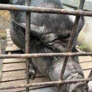 ヒメ日記 2026/02/21 22:50 投稿 なみ カワサキ EROTIC