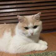 ヒメ日記 2026/02/22 07:30 投稿 なみ カワサキ EROTIC