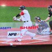 ヒメ日記 2026/03/02 19:42 投稿 なみ カワサキ EROTIC