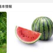 ヒメ日記 2026/03/04 19:02 投稿 なみ カワサキ EROTIC