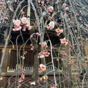 ヒメ日記 2026/03/05 13:30 投稿 なみ カワサキ EROTIC