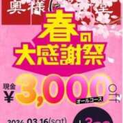 ヒメ日記 2024/03/13 13:41 投稿 すみれ 石巻 奥様食堂