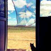 ヒメ日記 2025/08/11 12:31 投稿 すみれ 石巻 奥様食堂