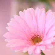 ヒメ日記 2025/11/06 21:17 投稿 すみれ 石巻 奥様食堂