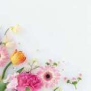 ヒメ日記 2025/12/29 21:01 投稿 すみれ 石巻 奥様食堂