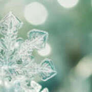 ヒメ日記 2026/01/11 20:01 投稿 すみれ 石巻 奥様食堂