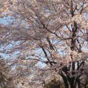 すみれ 感謝 石巻 奥様食堂