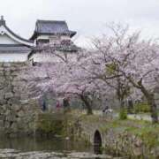 ヒメ日記 2025/04/06 21:21 投稿 ありさ AVANCE福岡