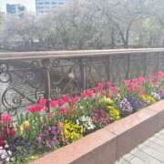 ヒメ日記 2026/04/14 19:41 投稿 ありさ AVANCE福岡