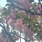 ヒメ日記 2026/04/27 15:21 投稿 ありさ AVANCE福岡