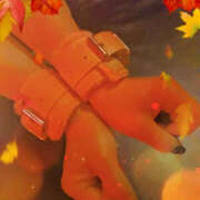 ヒメ日記 2025/11/13 18:57 投稿 かな YESグループ TSUBAKI FIRST