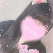 ヒメ日記 2025/08/18 12:07 投稿 ふみ FROZEN(フローズン)