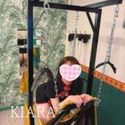 ヒメ日記 2025/04/12 18:23 投稿 きあら cocoro