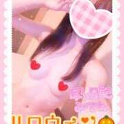 ヒメ日記 2025/10/31 06:33 投稿 きあら cocoro