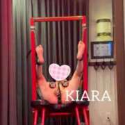 ヒメ日記 2025/11/17 12:53 投稿 きあら cocoro