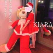 ヒメ日記 2025/12/18 08:23 投稿 きあら cocoro