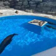 ヒメ日記 2025/01/05 06:02 投稿 みらい マリン千葉店