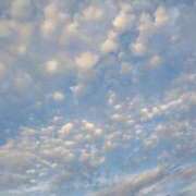 ヒメ日記 2025/02/15 08:19 投稿 みらい マリン千葉店