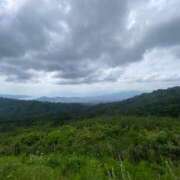 ヒメ日記 2025/04/17 09:22 投稿 みらい マリン千葉店