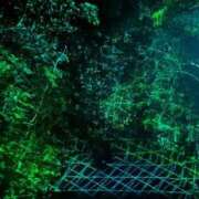 ヒメ日記 2025/06/25 09:04 投稿 みらい マリン千葉店