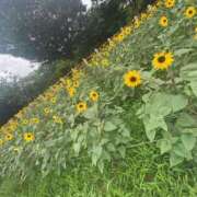 ヒメ日記 2025/06/30 06:14 投稿 みらい マリン千葉店