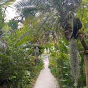 ヒメ日記 2025/09/02 06:16 投稿 みらい マリン千葉店