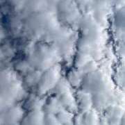 ヒメ日記 2025/09/25 08:02 投稿 みらい マリン千葉店