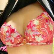 ヒメ日記 2025/11/22 06:12 投稿 みらい マリン千葉店