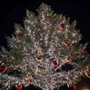 ヒメ日記 2025/11/27 06:12 投稿 みらい マリン千葉店