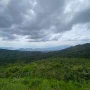 ヒメ日記 2025/11/30 10:42 投稿 みらい マリン千葉店