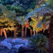 ヒメ日記 2025/12/02 07:42 投稿 みらい マリン千葉店