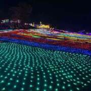 ヒメ日記 2025/12/07 09:35 投稿 みらい マリン千葉店