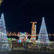 ヒメ日記 2025/12/10 08:13 投稿 みらい マリン千葉店