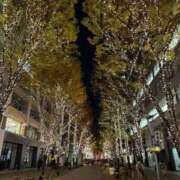 ヒメ日記 2025/12/17 08:15 投稿 みらい マリン千葉店