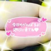 ヒメ日記 2025/11/28 07:52 投稿 峯岸～MINEGISHI～ BBW 西川口店